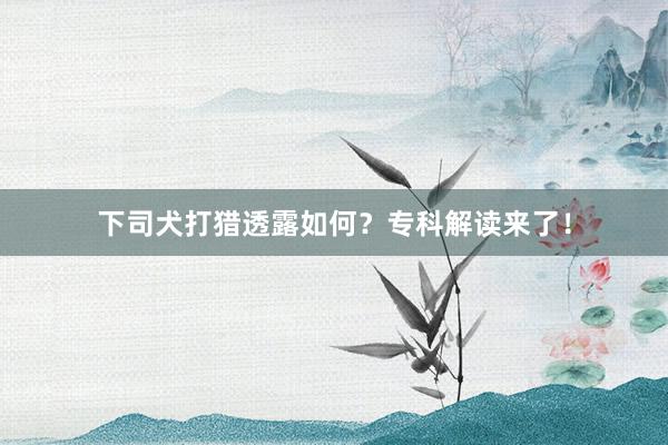 下司犬打猎透露如何？专科解读来了！