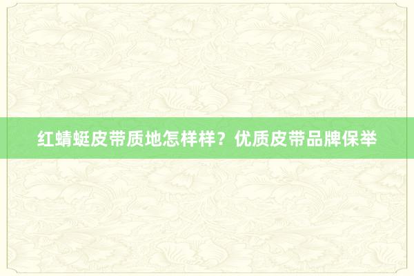 红蜻蜓皮带质地怎样样？优质皮带品牌保举