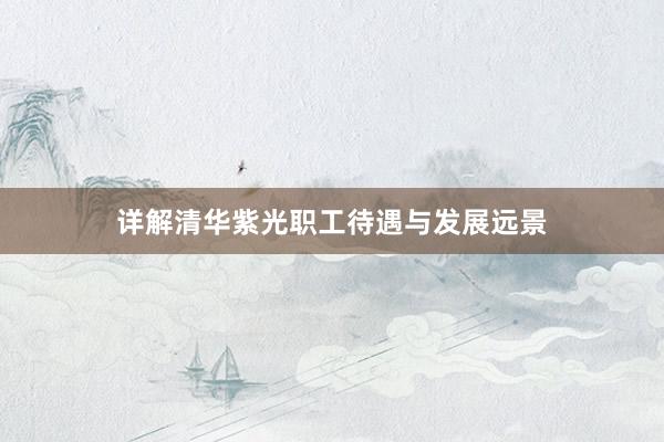 详解清华紫光职工待遇与发展远景