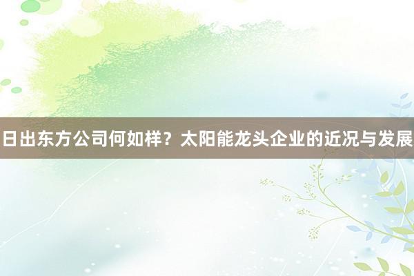 日出东方公司何如样？太阳能龙头企业的近况与发展